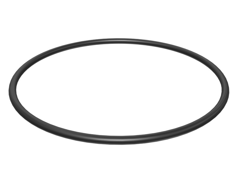 249-6670 169.3 mm ID O-Ring