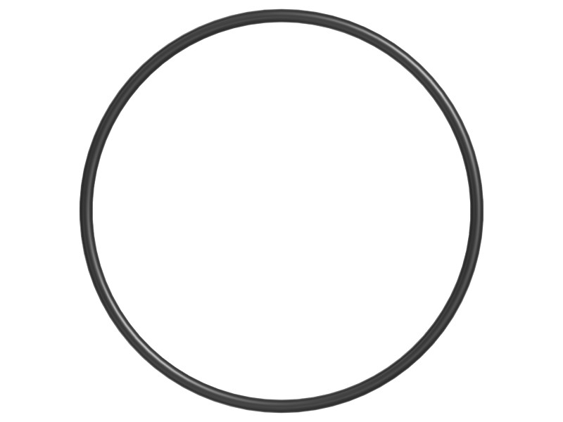 249-6670 169.3 mm ID O-Ring - image 3