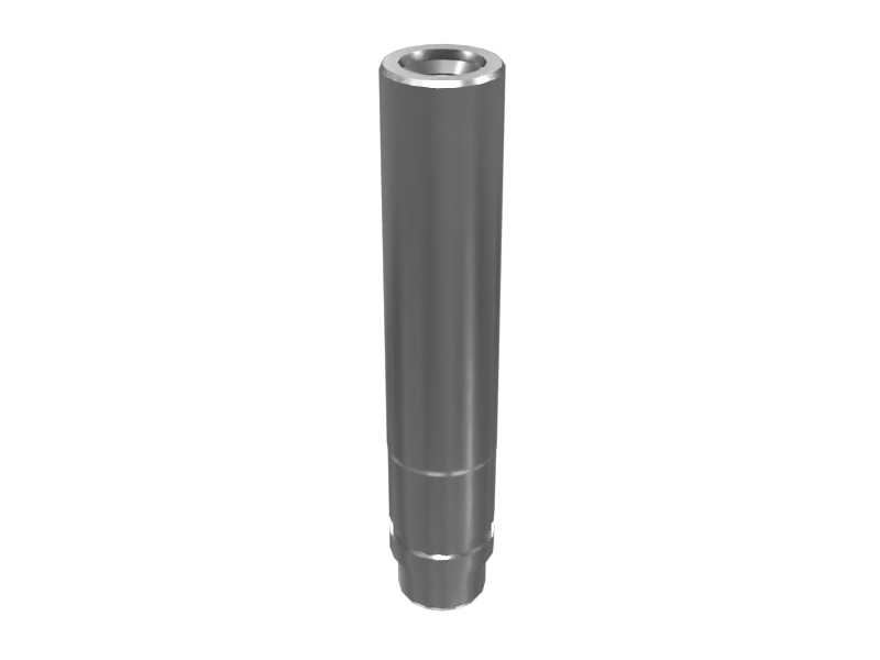 255-1261 Exhaust Valve Guide