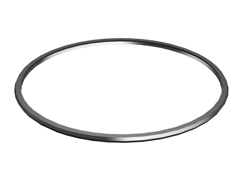 255-6863 3.8 mm Thick Spiral Wound Gasket