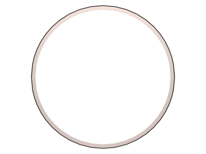 255-6863 3.8 mm Thick Spiral Wound Gasket - image 3