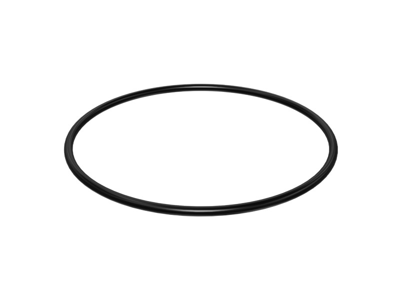 287-3752 98 mm OD O-Ring