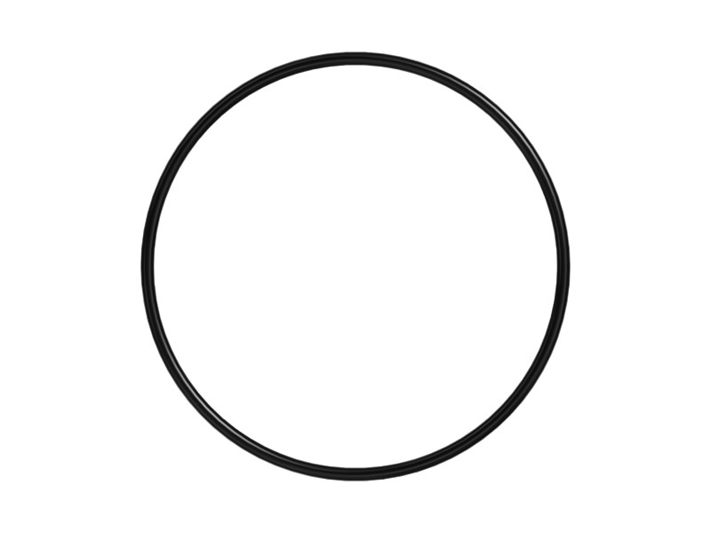 287-3752 98 mm OD O-Ring - image 3