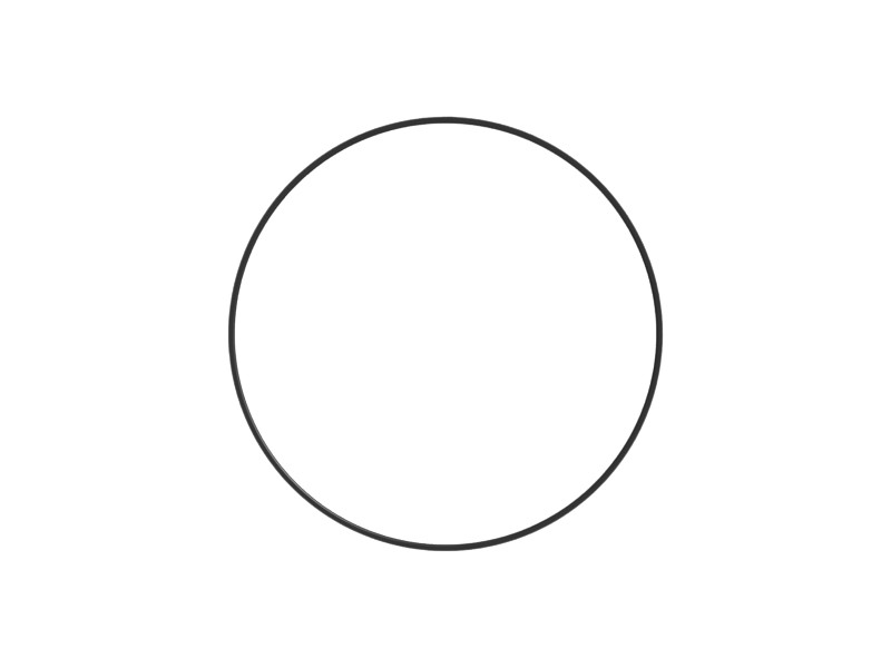 293-3612 464.11 mm OD D-Ring Rubber Seal - image 3