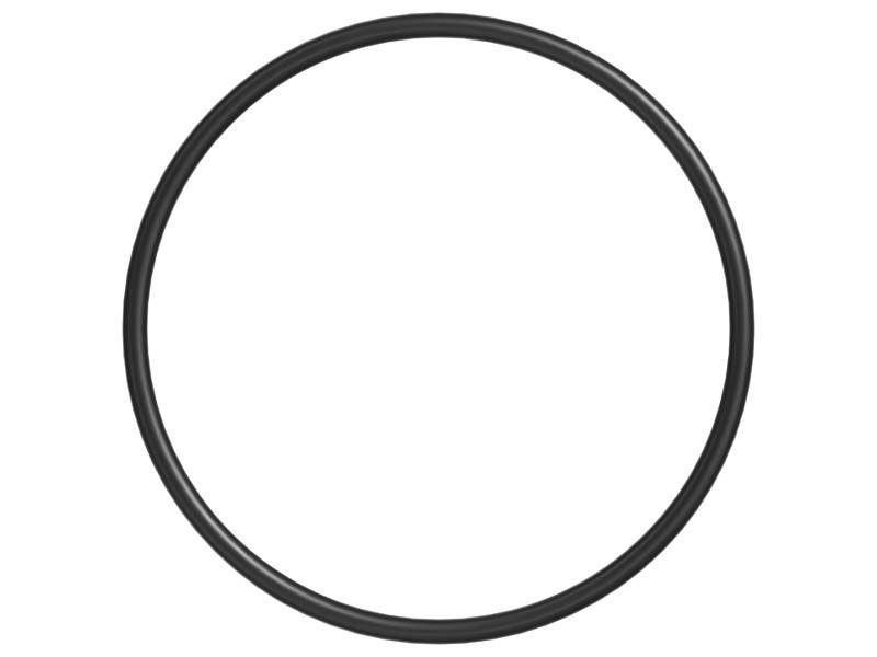 294-1846 61.59 mm ID O-Ring - image 3