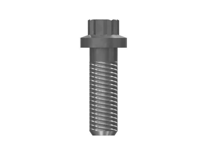 295-4302 M8-1.25 x 25 mm 12-Point Head Bolt - image 2