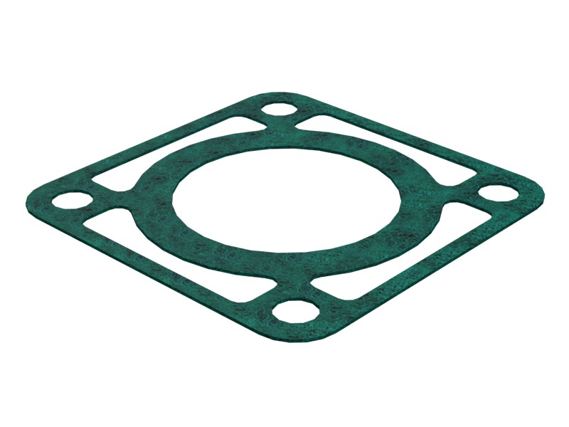 2H-5572 0.79 mm Thick Raw Water Line Gasket