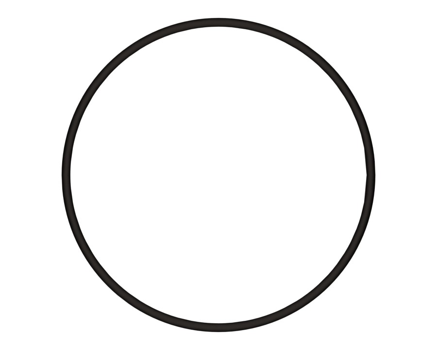 314-4125 424.65 mm ID Toric Seal Ring - image 3