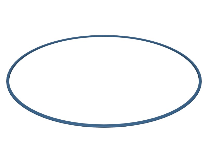 326-0542 495 mm ID D-Ring Rubber Seal