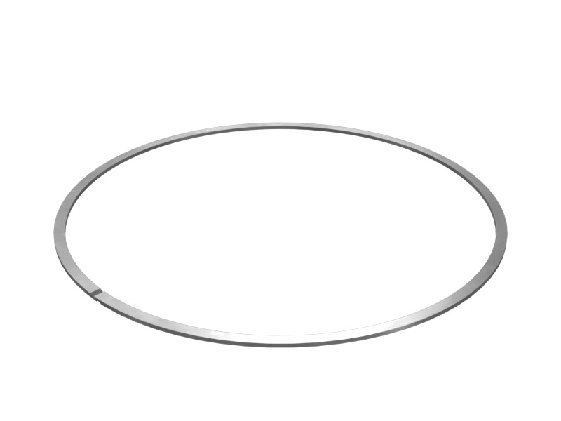 365-9197 220 mm ID Support Ring