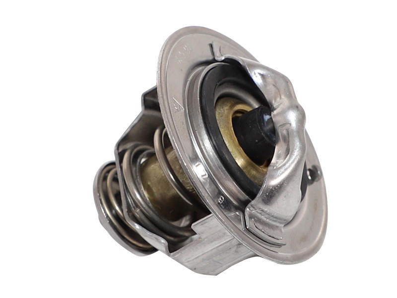 389-5308 Water Temperature Regulator