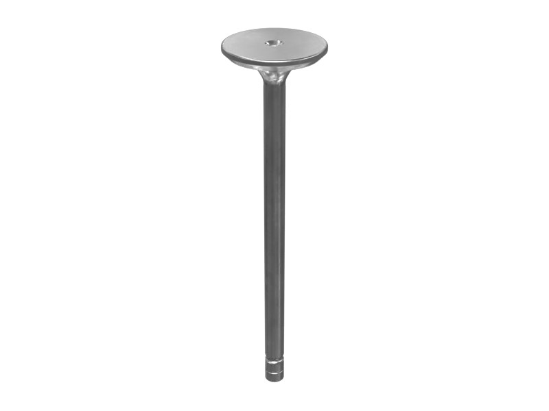 490-1728 Engine Exhaust Valve
