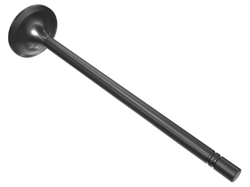 490-7198 Engine Intake Valve
