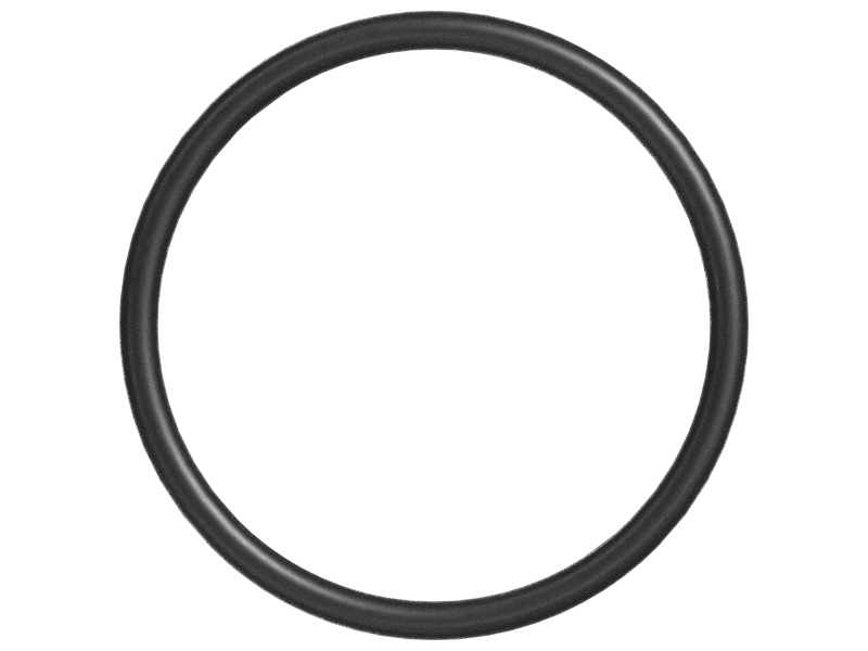4D-3107 37.77 mm ID O-Ring - image 3